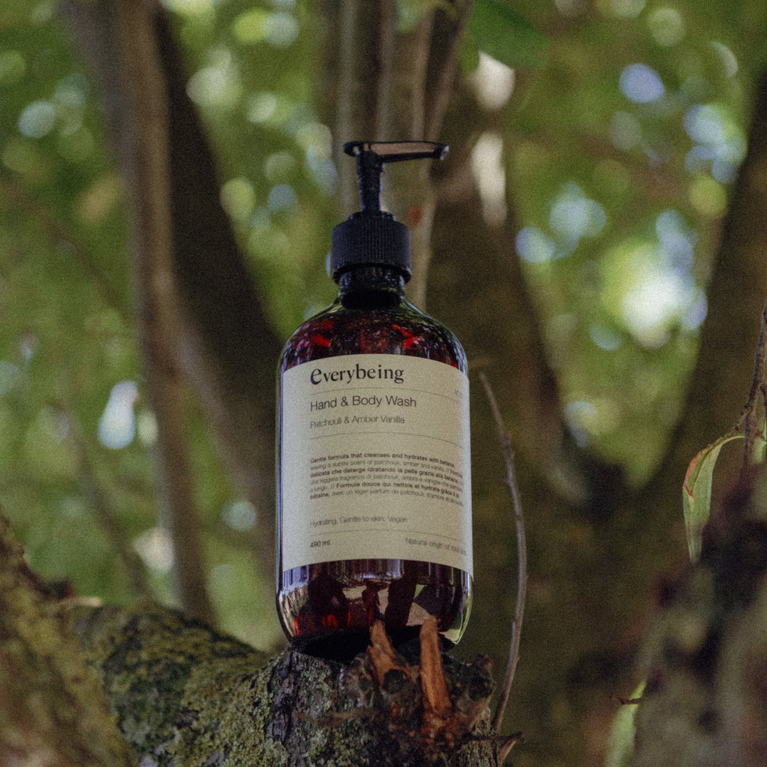 A Gentle Ritual of Respect for All Living Things