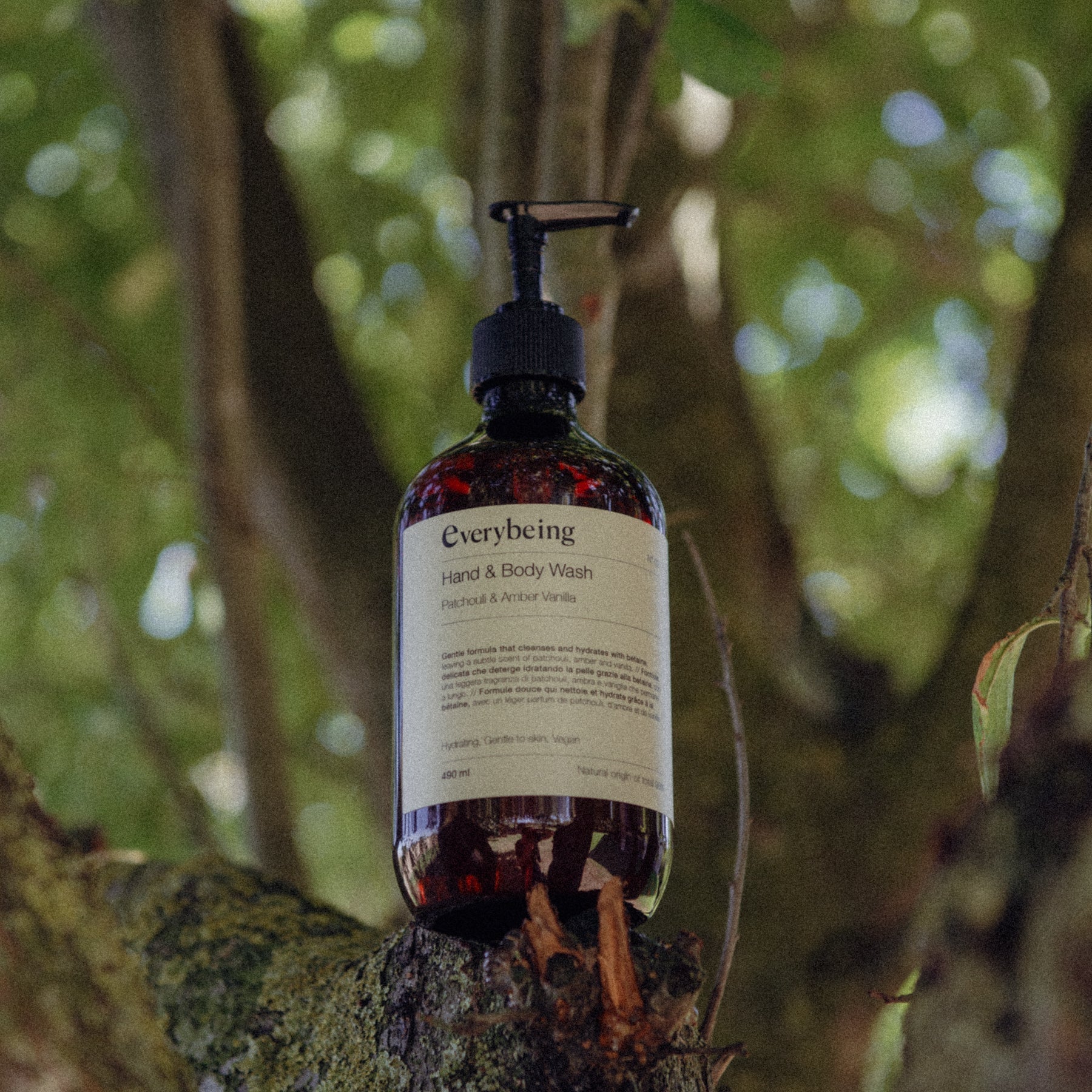 A Gentle Ritual of Respect for All Living Things