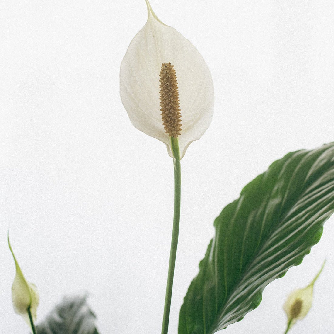 Caring for Your Skin Through the Changing Seasons