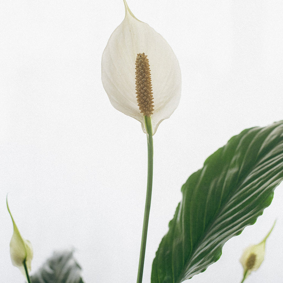 Caring for Your Skin Through the Changing Seasons